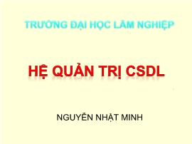 Bài giảng Hệ quản trị Cơ sở dữ liệu - Chương I: Tổng quan về cơ sở dữ liệu - Nguyễn Nhật Minh