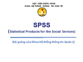 Bài giảng môn Tin học đại cương - Chương 6: SPSS(Statistical Products for the Social Sevices)